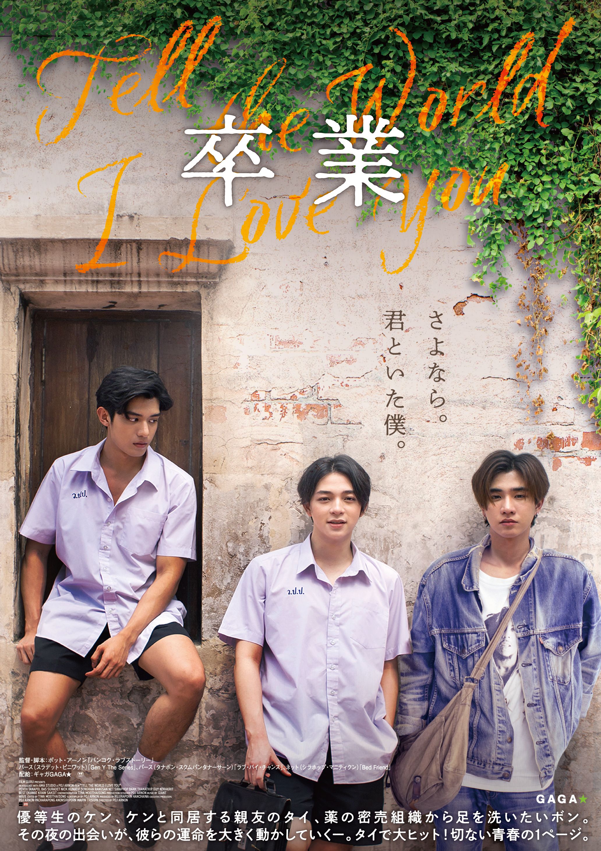 名作映画パンフレット 15冊セット（奇跡の人、小さな恋のメロディ