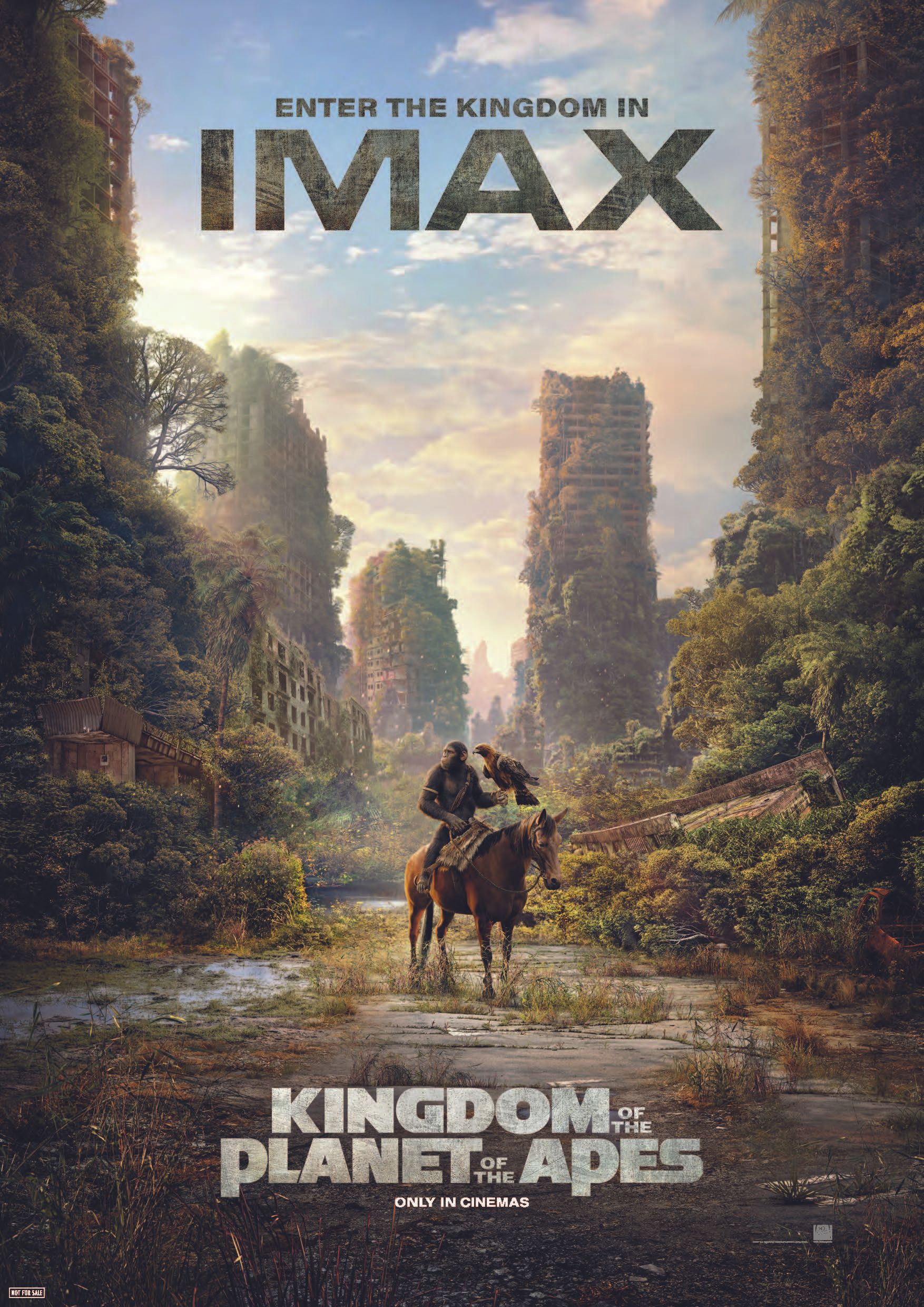 猿の惑星/キングダム 』IMAX® 5/10（金）より上映決定！【IMAX®入場者 