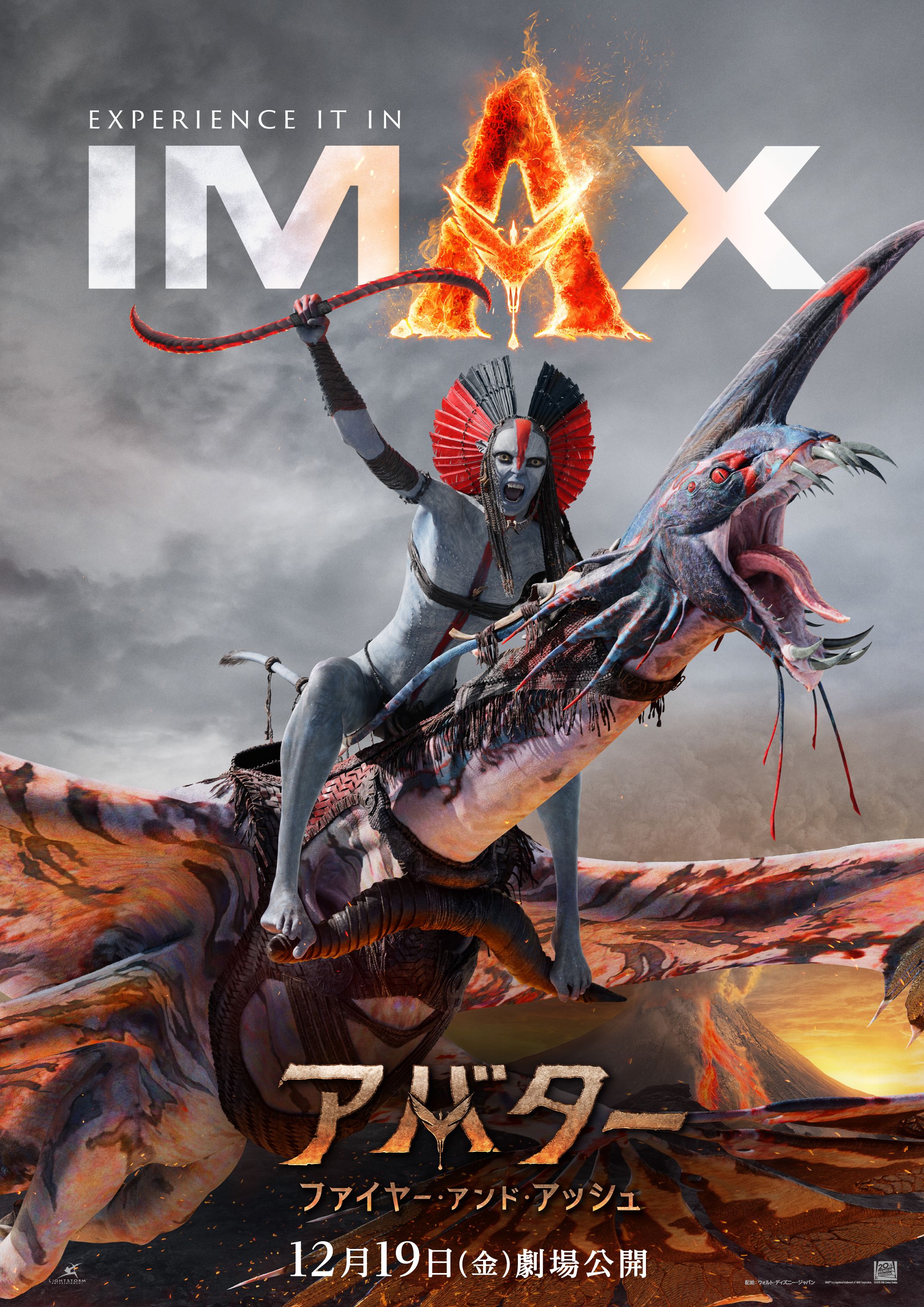 ニュース - 土浦