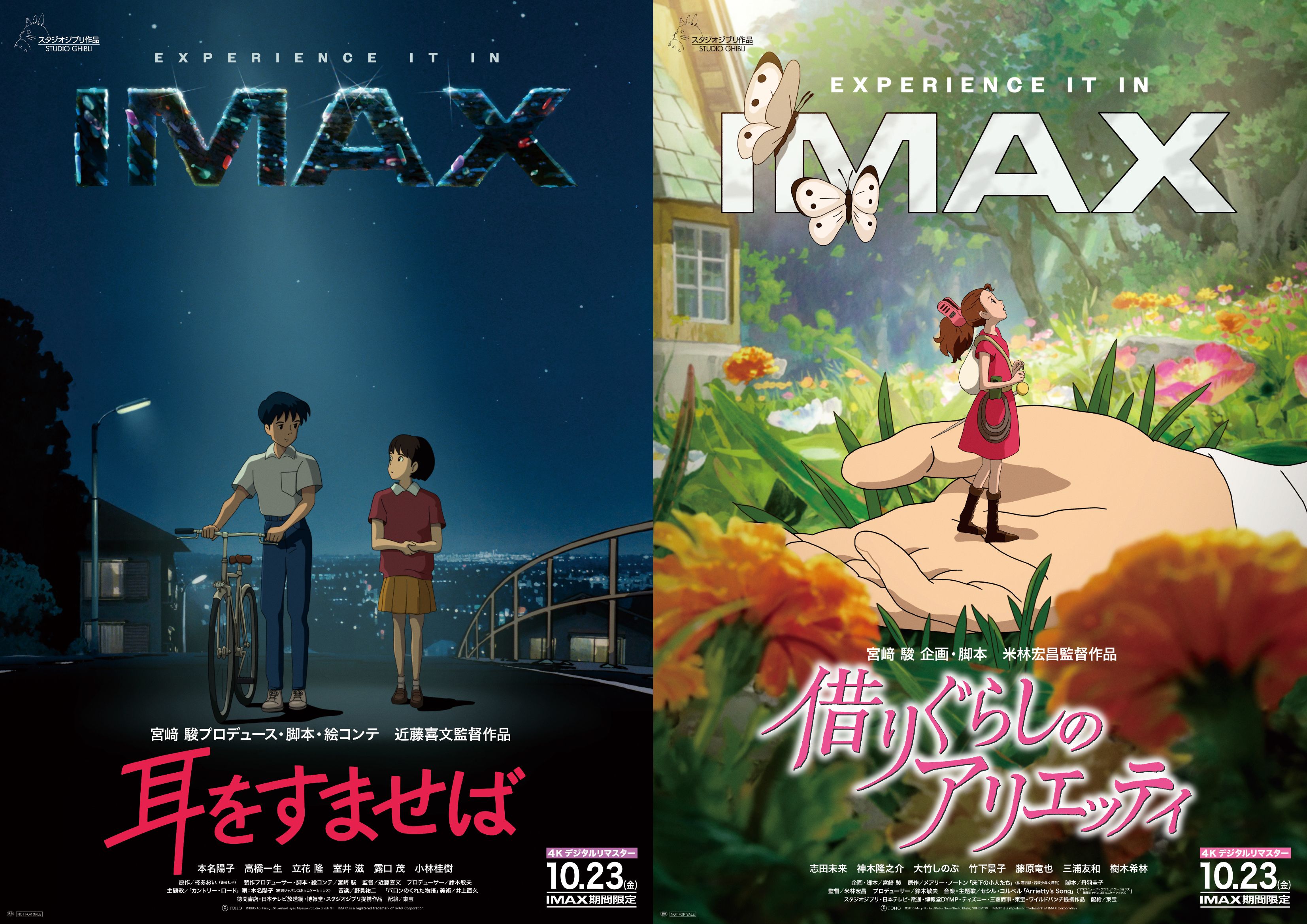 IMAX 映画ポスター まとめ売り 多数セット IMAX 映画ポスター まとめ売り 多数セット IMAX 映画ポスター まとめ
