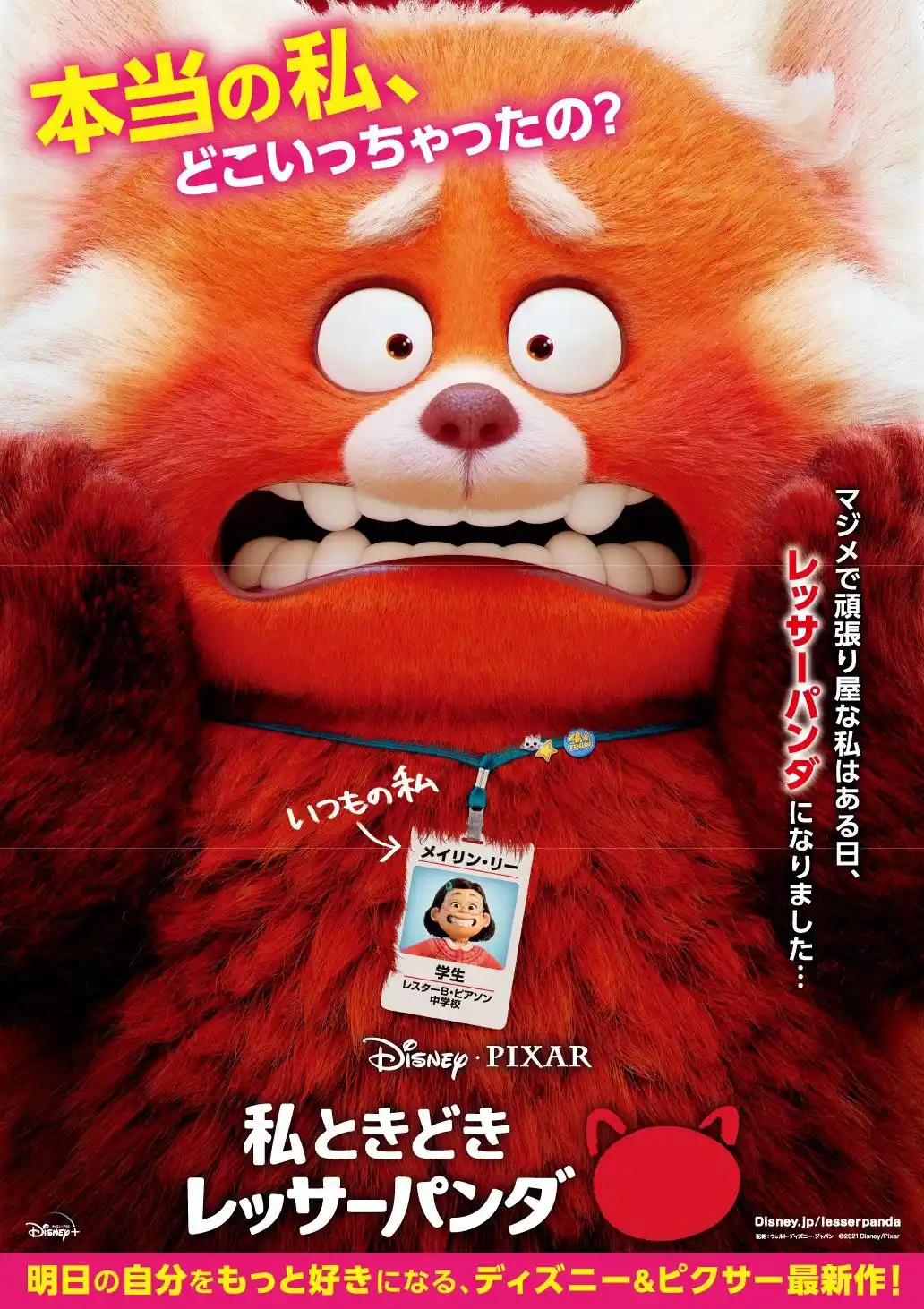 私ときどきレッサーパンダ